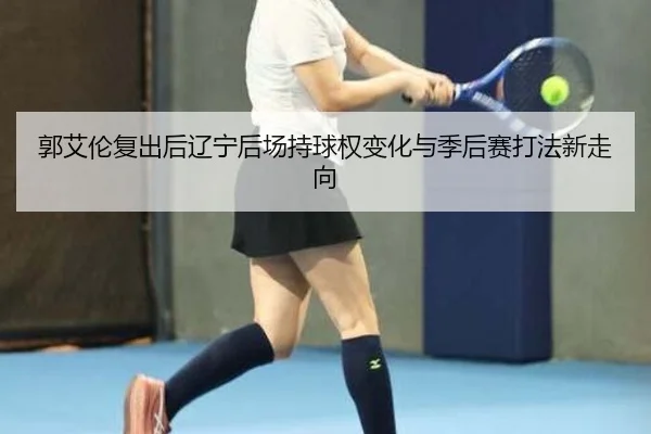 郭艾伦复出后辽宁后场持球权变化与季后赛打法新走向
